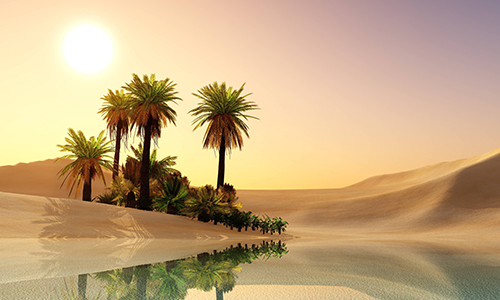 Soin visage L’Oasis sublime Soin visage L’Oasis sublime